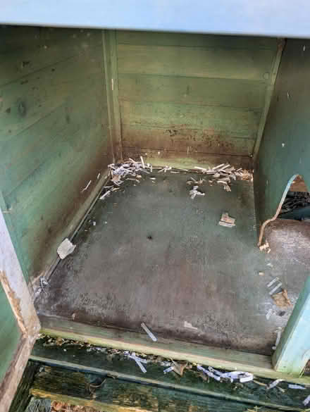 Photo of free Guinea pig hutch with run (Plymtree, Norman's Green End) #2