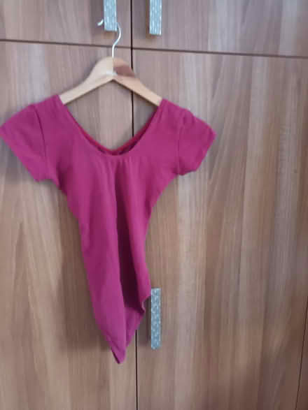 Photo of free Ballet leotard (Perivale) #1