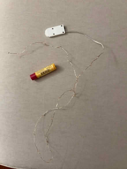 Photo of free Fairy lights (SE DC (Ward 7)) #1