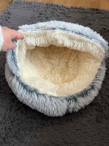 Photo of free Medium Cat Bed (Sonning RG4) #2