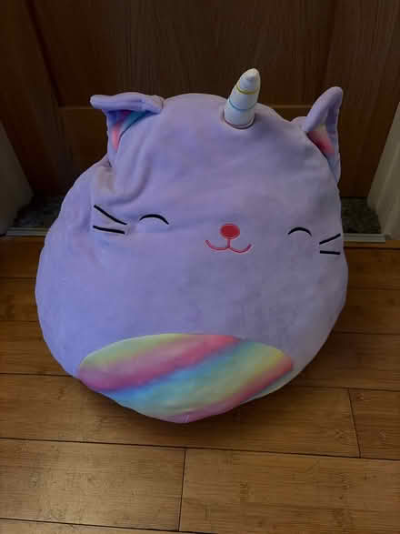 Photo of free Squishmallow teddy (Hazel Grove SK7) #1