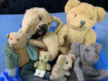 Photo of Old, damaged, unwanted soft toys (Belfast) #2