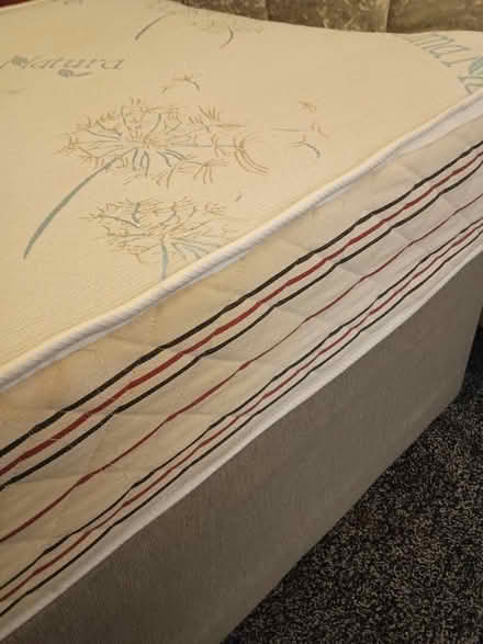 Photo of free Single bed (Wf17 6LQ) #2