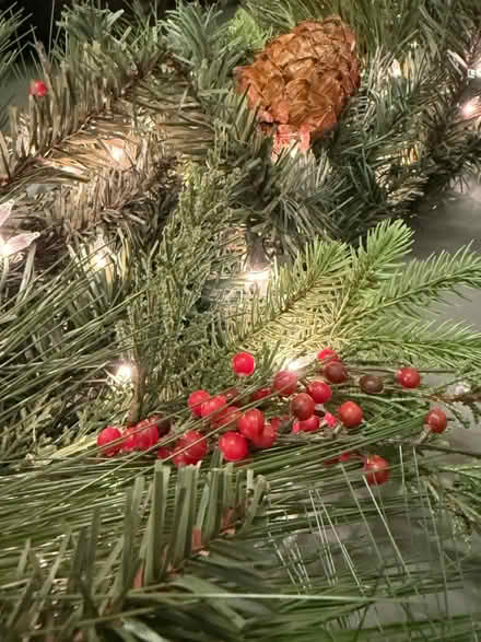 Photo of free Pre-lit Garland (Mill Valley) #1