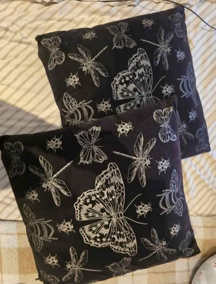 Photo of free 2x Cushions (TW8 Brentford) #1