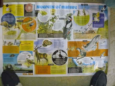 Photo of free Secrets of nature poster 50cm x 75cm (Kempsey WR5) #1