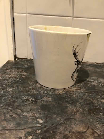 Photo of free Small planter (Sale M33) #3