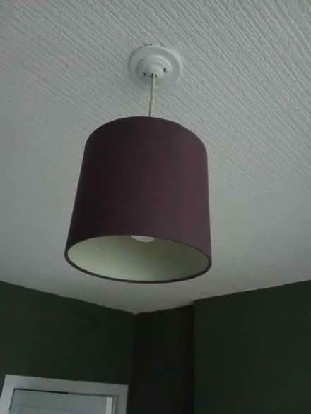 Photo of free Lampshades (Anniesland) #1