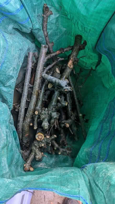 Photo of free Apple wood cuttings (Abingdon OX14) #1