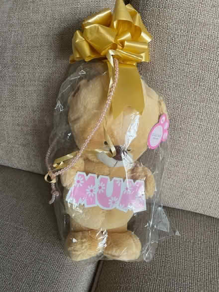 Photo of free MUM teddy (Sherwood NG5) #1