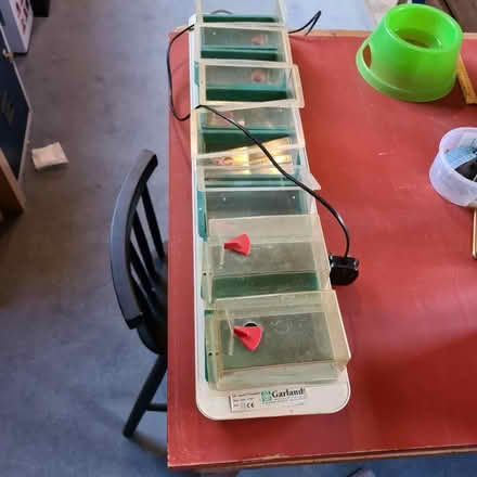 Photo of free Propagator (Raynes Park SW20) #2