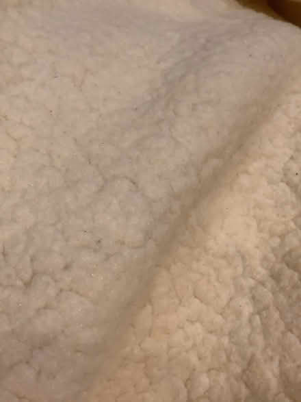 Photo of free Fleecy fitted underblanket for single bed (Bear Flat) #2