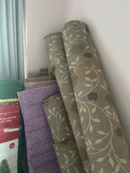 Photo of free Luxury carpet and underlay (Harrow HA3) #4