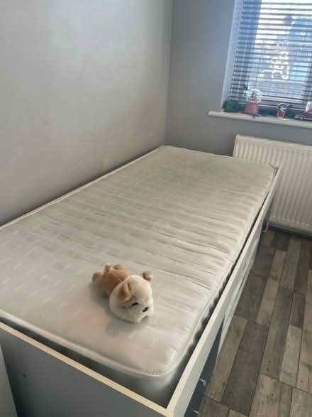 Photo of free Must go Single storage bed frame (SS7) #3