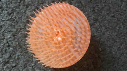 Photo of free Scalp massager / brush? (Barnsley old town S75) #3