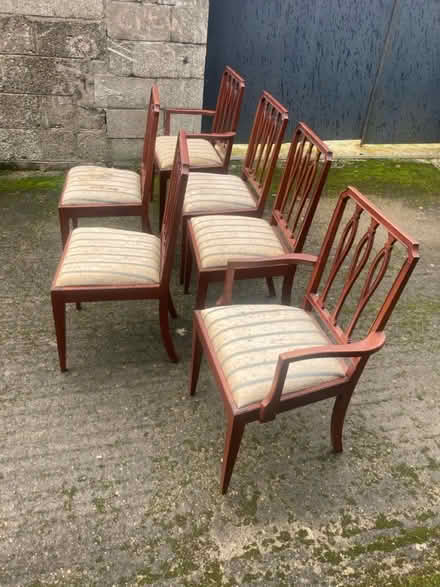 Photo of free Chairs x 6 (Perrystown Dublin 12) #4