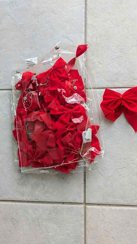 Photo of free Xmas items (Stittsville) #2