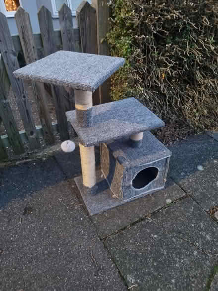 Photo of free Cat tree (Coldean BN1) #1