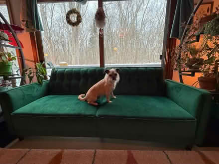 Photo of free Sleeper Sofa (High Falls, NY) #1