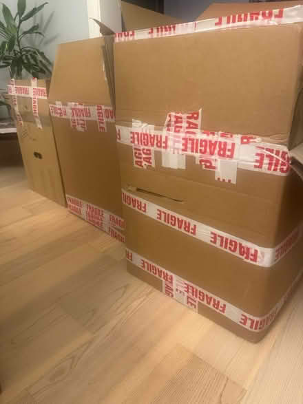 Photo of free Cardboard storage/ removal boxes (Crosspool) #1