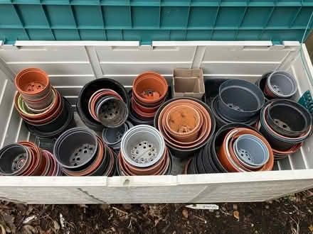 Photo of free Large selection of garden pots (Alfreton DE55) #1