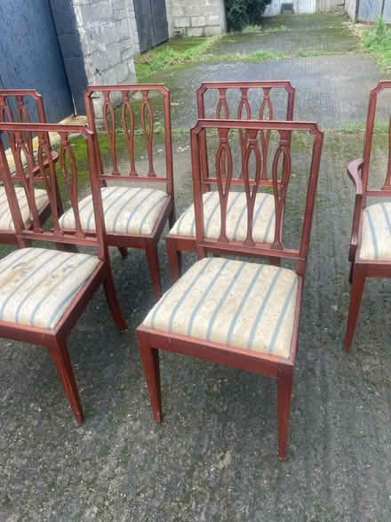 Photo of free Chairs x 6 (Perrystown Dublin 12) #3