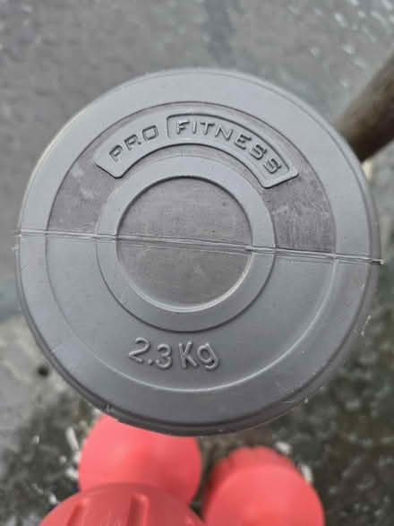 Photo of free Weights (Dewsbury WF17) #3