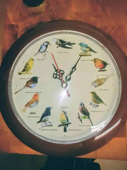 Photo of free Quartz Bird Clock. (Highfield HP2) #1