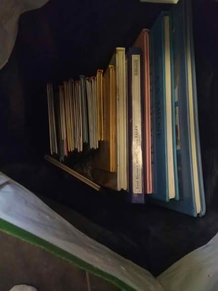 Photo of free Bag Of Kids Books (Leighton buzzard LU7) #1