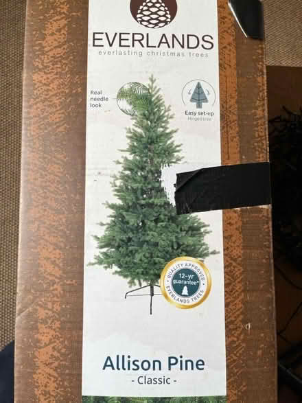 Photo of free Christmas tree – green Pine – 6ft (Grove Rd Windsor SL4) #3
