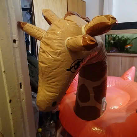 Photo of free Large inflatable (Anglel near Chapel Market N1) #1