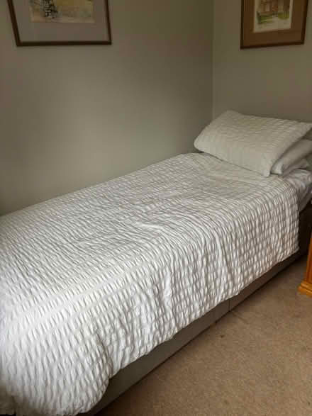 Photo of free Single bed (UpperHale GU9) #1