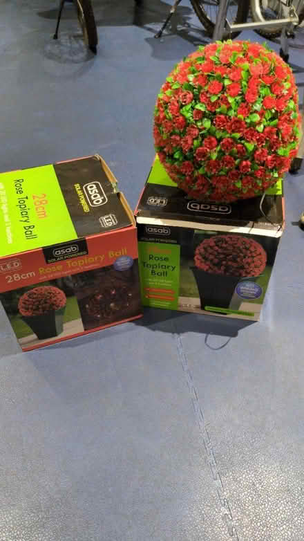 Photo of free Topiary Balls (Stanwell Moor) #1