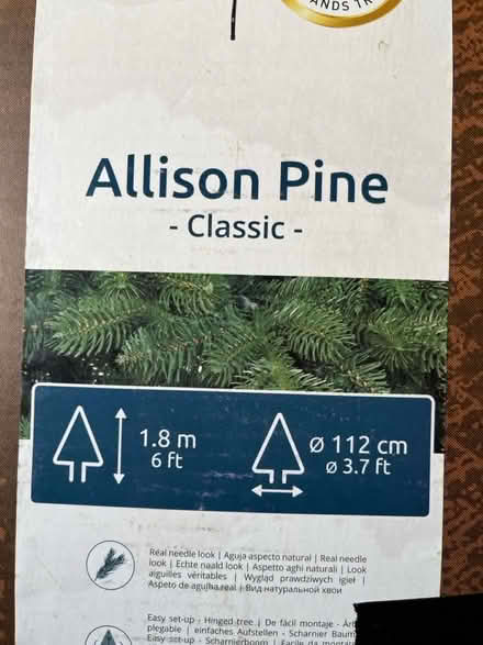 Photo of free Christmas tree – green Pine – 6ft (Grove Rd Windsor SL4) #2