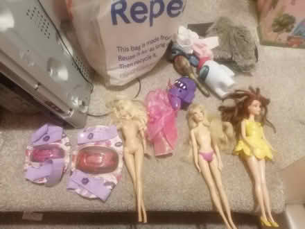 Photo of free Dolls and doll house (Bramley LS13) #1