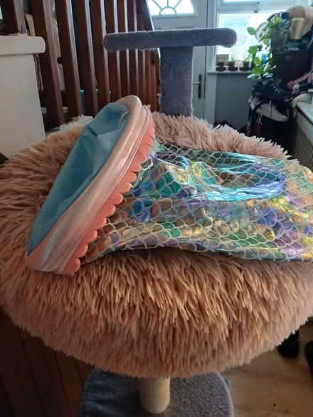 Photo of free Cat tree/kitten stuff (Woodside SE25) #3