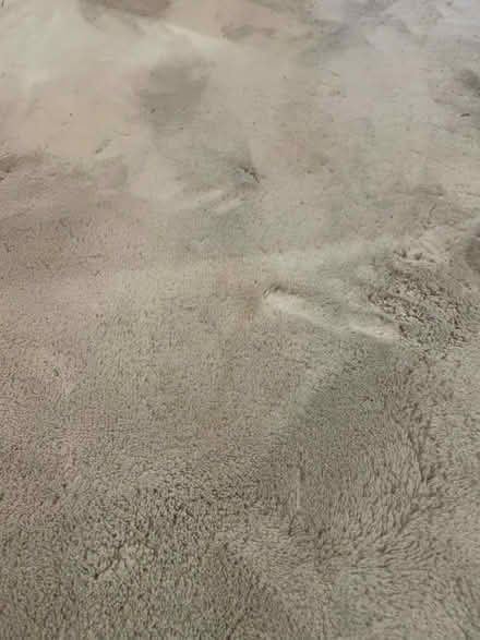 Photo of free Large rug (Penwortham PR1) #4