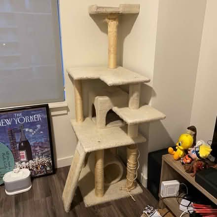 Photo of free Full size cat tree (Bethesda, MD) #1