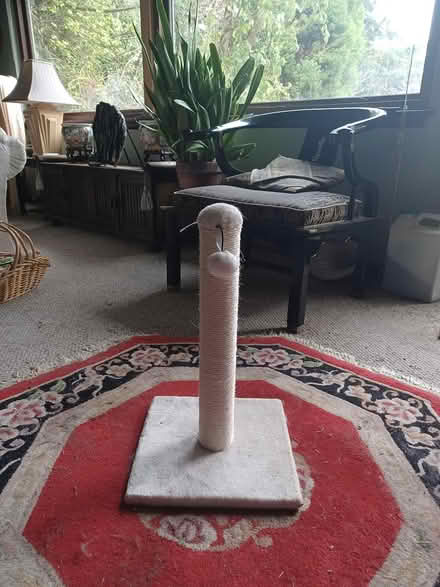 Photo of free Cat Scratching Post (NW Burien - Shorewood area) #1