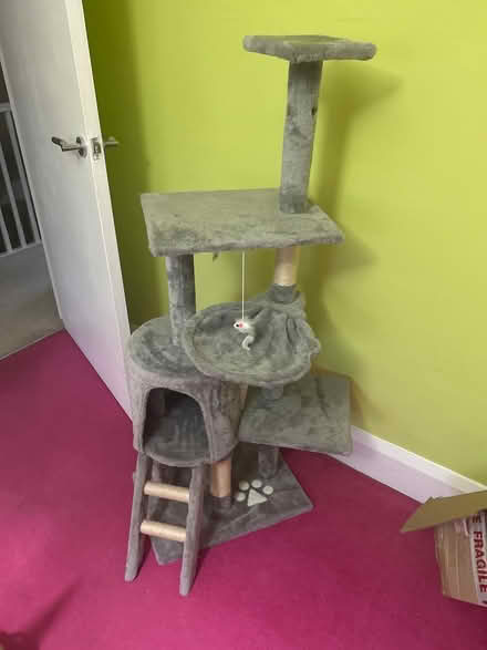 Photo of free Cat post (Walsall WS4) #1