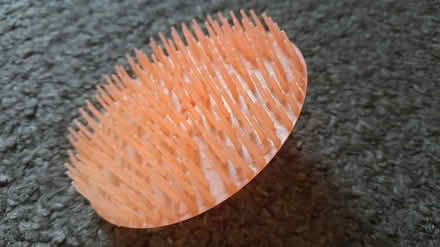 Photo of free Scalp massager / brush? (Barnsley old town S75) #2