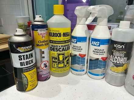 Photo of free Mould/Damp/Freshner cleaners (Herne Hill SE24) #4