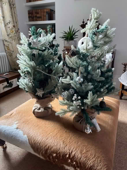 Photo of free 3 Christmas trees – app 70 cm high (Grove Rd Windsor SL4) #2