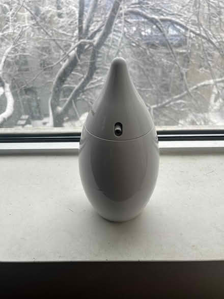 Photo of free Cat Items (Bed-Stuy, Brooklyn) #1