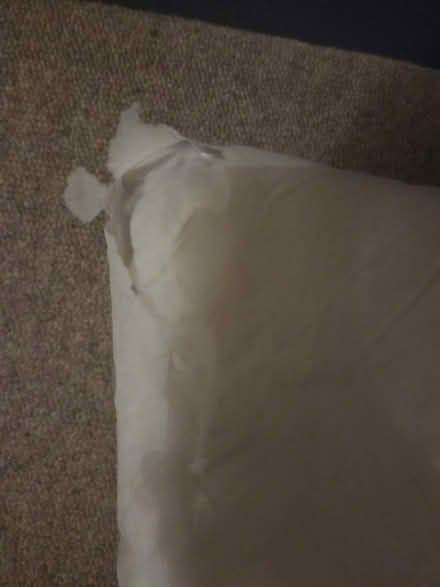 Photo of free Cishion (Lightwood ST3) #3