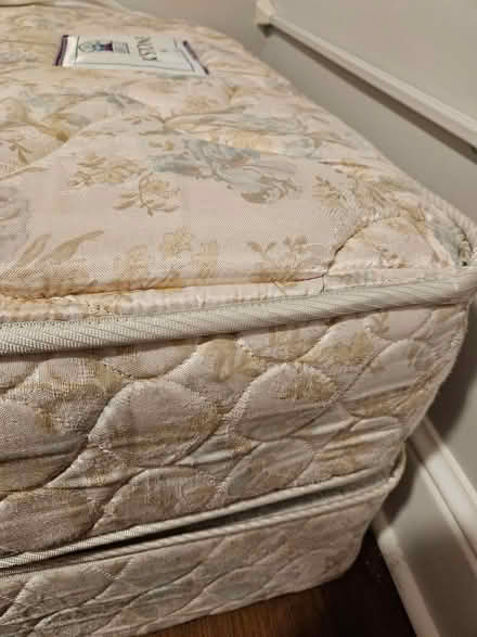 Photo of free Twin mattress set (Troy, NY) #1