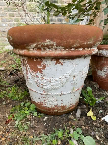 Photo of free Terracotta plant pots (SW2 - Brixton) #4