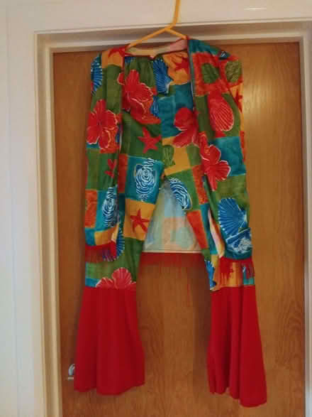 Photo of free Fancy dress outfits for adults (Broadstone BH18) #1