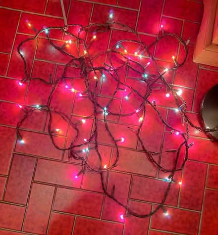 Photo of free Christmas lights (Brantham CO11) #1