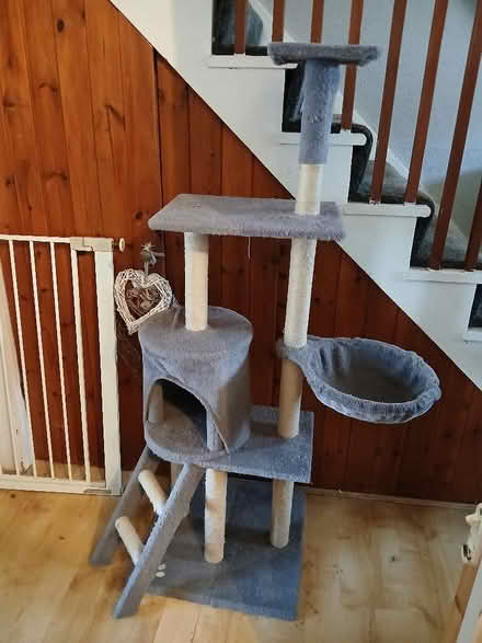 Photo of free Cat tree/kitten stuff (Woodside SE25) #1